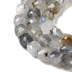 Natur Labradorit Perlen Stränge&nbsp;G-D358-A01