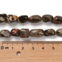 Natur Ozean Jaspis Perlen Stränge&nbsp;G-P497-01E-76