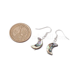 Natürliche Abalone Muschel/Paua Muschel Ohrhänger&nbsp;EJEW-JE05916-02