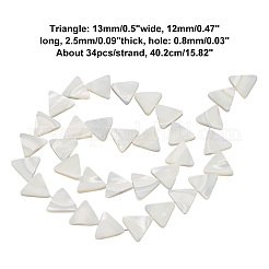 1 Strang natürliche Muschelperlenstränge&nbsp;BSHE-BC0001-13