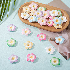 28 Stück 7 Farben Plumeria Blume undurchsichtige Harz Cabochons&nbsp;CRES-TA0001-75