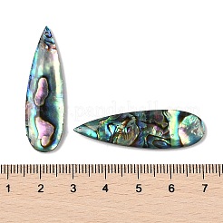 Natur Paua Muschel Anhänger&nbsp;SSHEL-I026-08A