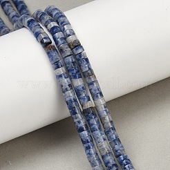 Fili di perle di diaspro macchia blu naturale&nbsp;G-C084-D09-01