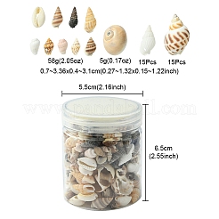 12 Arten natürliche gemischte Muschelperlen&nbsp;SSHEL-YW0001-05
