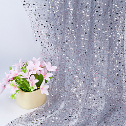 Pailletten-Polyester-Netzgewebe&nbsp;DIY-WH0308-875C