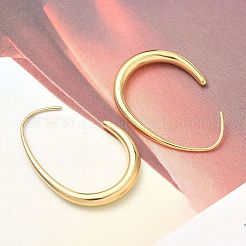 Tropfenförmige Ohrhänger aus 304 Edelstahl&nbsp;EJEW-Z158-01G