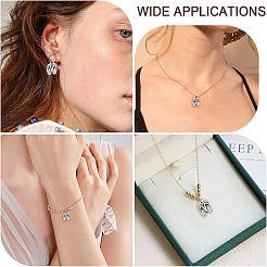 1 sac de pendentifs en alliage de style tibétain&nbsp;FIND-CA0005-52