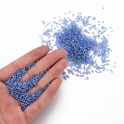 GlasZylinderförmigperlen&nbsp;SEED-S047-R-005
