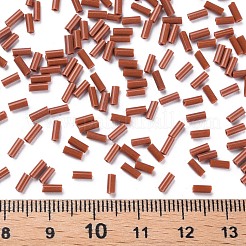 Undurchsichtige Farben Glashornperlen&nbsp;SEED-N005-001-B01