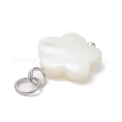 12 Stück 12 Stile natürliche Süßwassermuschel große Anhänger Set&nbsp;PALLOY-JF02079