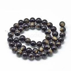 Naturale lucentezza dorata perle di ossidiana fili&nbsp;G-R446-12mm-23