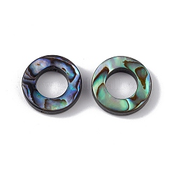 Natürliche Abalone-Muschel / Paua-Muschelperlen&nbsp;SSHEL-M021-06