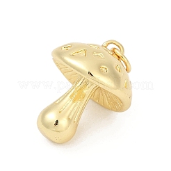 Messing Anhänger & Charms&nbsp;KK-U062-48G
