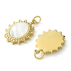 Ionenplattierung (IP) 304 Edelstahl Pavé Muschel ovale Charms mit Biegeringen&nbsp;FIND-Z028-13G