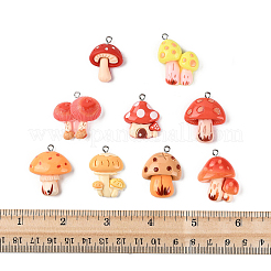 Colgantes de resina 32pcs 9 estilos&nbsp;RESI-FS0002-30