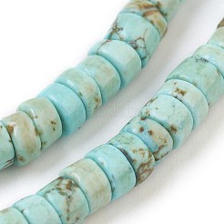 Fili di perline di magnesite naturale&nbsp;G-P398-A01