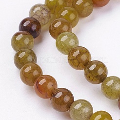 Agate craquelé naturel brins pierre de perles&nbsp;G-R193-16-6mm