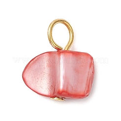 Breloques en coquillages naturels teintés&nbsp;PALLOY-JF04307-02