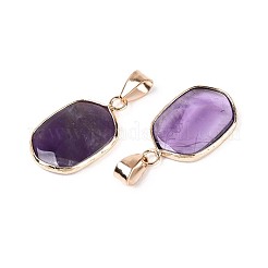 Natürlichen Amethyst Edelsteinanhänger&nbsp;G-N349-04C-G