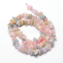 Natur morganite Chip-Perlen-Stränge&nbsp;X-G-E271-84