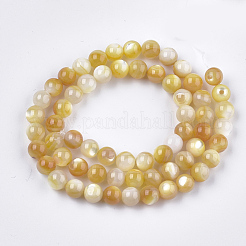 Giallo perline shell fili&nbsp;SHEL-S274-93E