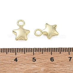 Encantos de aleación&nbsp;AL-CBA5609-10G-A