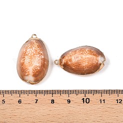Colgantes de concha de cowrie natural&nbsp;SSHEL-N038-40