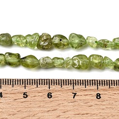 Natürlichen Peridot Perlen Stränge&nbsp;G-H346-A01-01