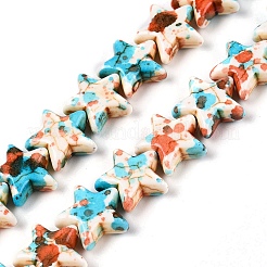 Chapelets de perles en turquoise synthétique peinte par pulvérisation&nbsp;LS-UNKW-T001-11I