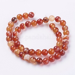 Chapelets de perles en agate à rayures naturelles/agates à bandes&nbsp;G-G591-8mm-03