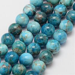 Chapelets de perles en apatite naturelle, ronde, 12mm, Trou: 1mm, Environ 34 pcs/chapelet, 15.7 pouce
