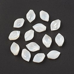 Natürliche Muschel Perlen, oben gebohrte Perlen, Blatt, 13x8.5x3 mm, Bohrung: 1 mm