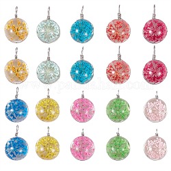 20Pcs 10 Colors Transparent Glass Pendants, with Dried Flower inside and Stainless Steel Finding, Flat Round, Mixed Color, 23.5x15x12mm, Hole: 1.5mm, 2pcs/color