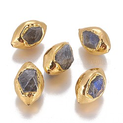 Perle di labradorite naturale, con i risultati in ottone placcato oro, sfaccettato, oliva, 25~29x17~20x17~21mm, Foro: 1~1.4 mm