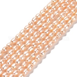 Fili di perle di perle d'acqua dolce coltivate naturali, riso, grado 3 un, peachpuff, 4.5~5x3~4x3~4mm, Foro: 0.5 mm, circa 73~74pcs/filo, 13.90''~14.17'' (35.3~36 cm)