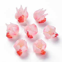 Perles en plastique, grenade, rose, 15~16x15.5~17x13~14mm, Trou: 1.4mm