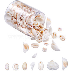 Beadthoven DIY Natural Shell Jewelry Making Finding Kits, Including Shell Pendants & Beads, Mixed Color, 21.5~24.5x27~30.5x8.5~11.5mm, Hole: 1.5~1.6mm, 210pcs/box