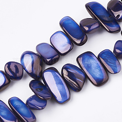 Freshwater Shell Beads Strands, Dyed, Nuggets, Blue, 6~25x4~14x3~7mm, Hole: 1mm, about 96~100pcs/strand, 31.4 inch