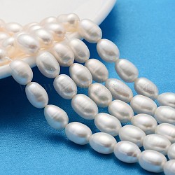 Brins de perles de culture d'eau douce naturelles, riz, blanc crème, 7~8mm, Trou: 0.8mm, Environ 45 pcs/chapelet, 13.77 pouce ~ 14.17 pouces