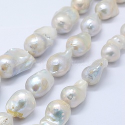 Hebras de perlas keshi de perlas barrocas naturales, perla cultivada de agua dulce, pepitas, blanco cremoso, 20~30x15~19x15mm, agujero: 0.5 mm, aproximamente 20 pcs / cadena, 15.3 pulgada