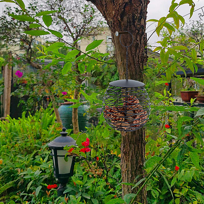 Mangeoire suspendue pour oiseaux du Jardin