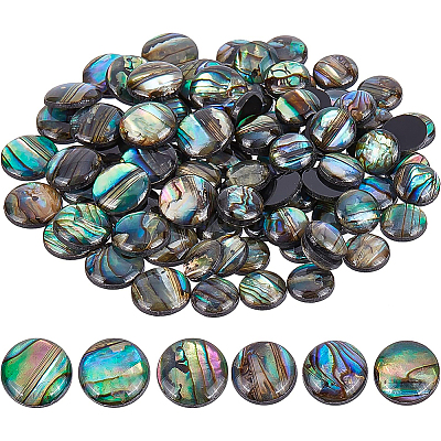 Paua Shell Cabochons&nbsp;SHEL-BC0001-018-1