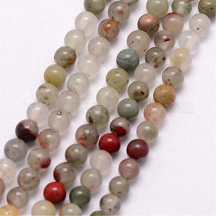 Natural African Bloodstone Beads Strands G-K146-37-3mm-1