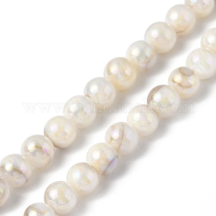 Natural Freshwater Shell Beads Strands SHEL-C003-10-1