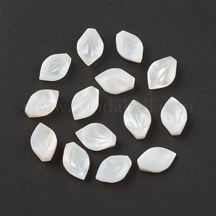 Perles de coquille naturels SSHEL-T012-15-1