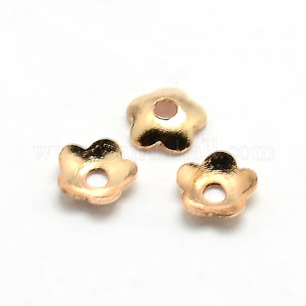 5-Petal Brass Tiny Flower Bead Caps KK-O043-06LG-1