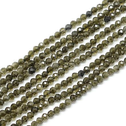 Natural Golden Sheen Obsidian Beads Strands G-S152-04-3mm-1