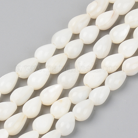 Natural Freshwater Shell Beads Strands X-SSHEL-R048-007B-1