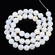Chapelets de perles en agate naturelle craquelée G-S359-240B-1-4