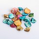 Natural Mixed Dyed Chip Freshwater Shell Beads BSHE-X0005-1